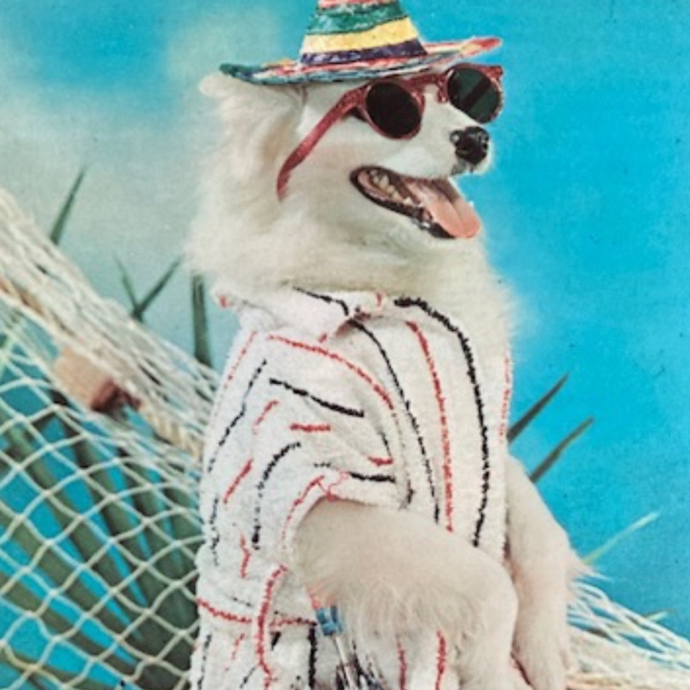 Love Postmark and the Beach! Surf's Up🏄‍♂️